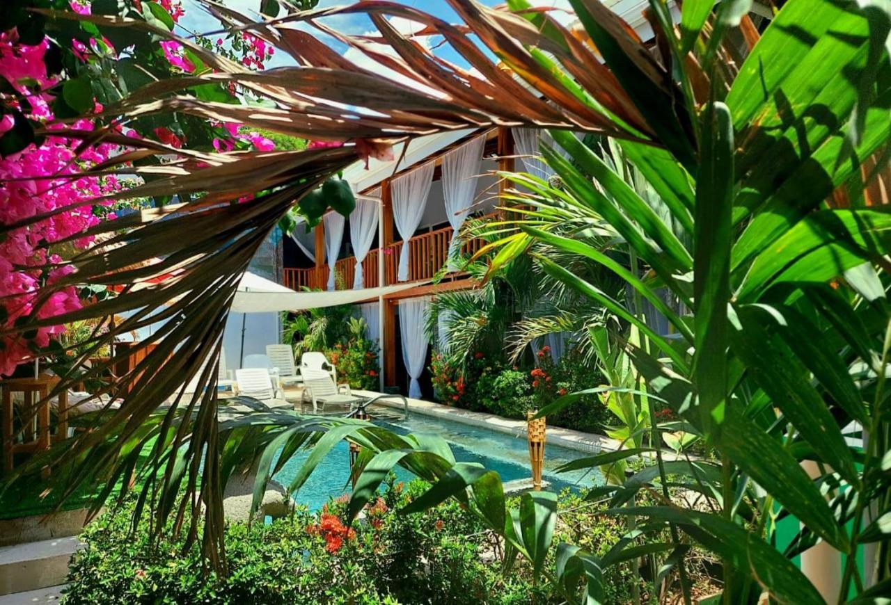 Bellavista Suites By Villas Verdes - Samara Beach מראה חיצוני תמונה